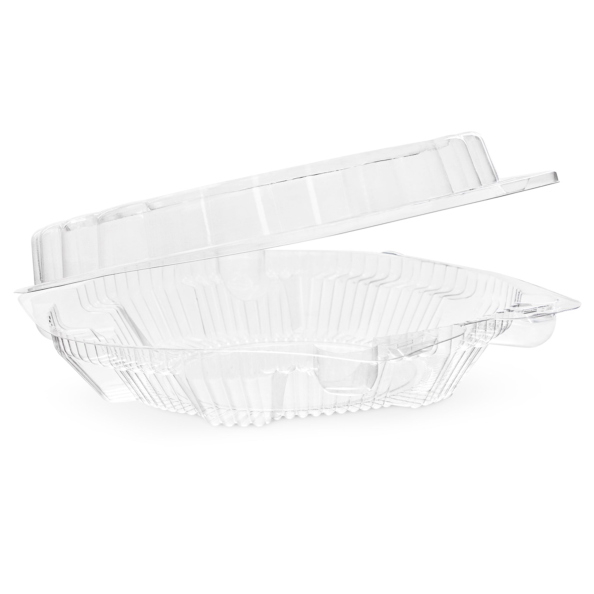 CLEAR HINGED CONTAINER   3/10" x 10" x 2 1/5" CL108
